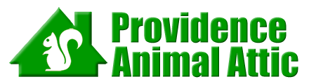 Providence Animal Attic